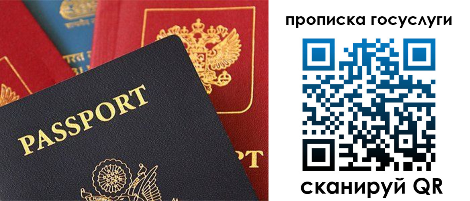 где прописаться в Сертолово